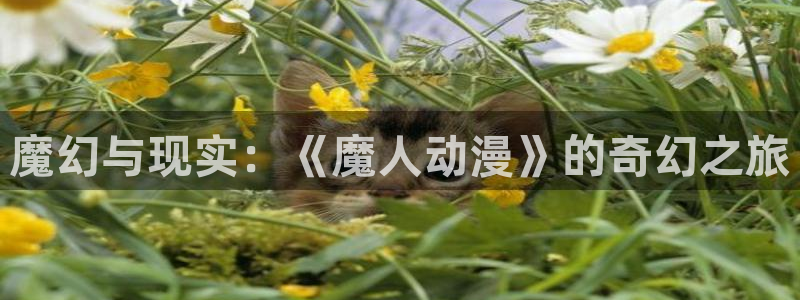 风车动漫_专注动漫的更新时间：魔幻与现实：《魔人动漫》的奇幻之旅