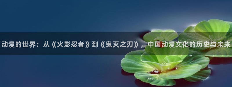 dm530风车动漫官网：动漫的世界：从《火影忍者》到《鬼灭之刃》，中国动漫文化的历史与未来