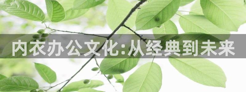 新风车动漫dm530：内衣办公文化:从经典到未来