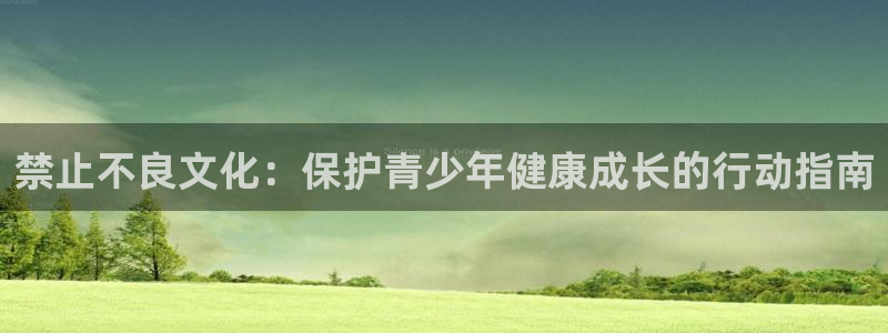 风车动漫火影忍者：禁止不良文化：保护青少年健康成长的行动指南